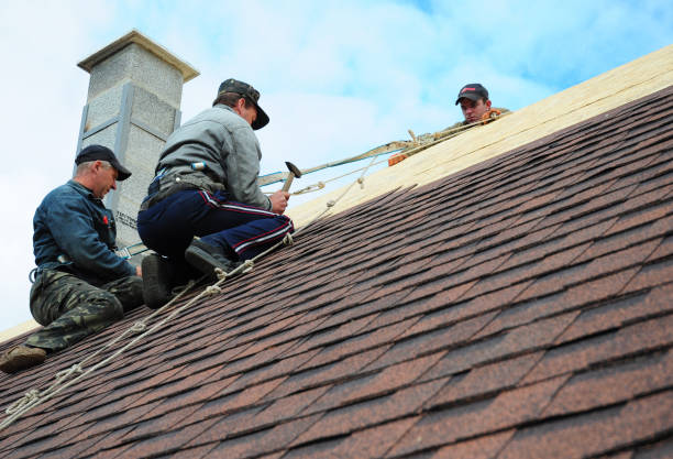 Best Commercial Roofing Services  in North Vernon, IN